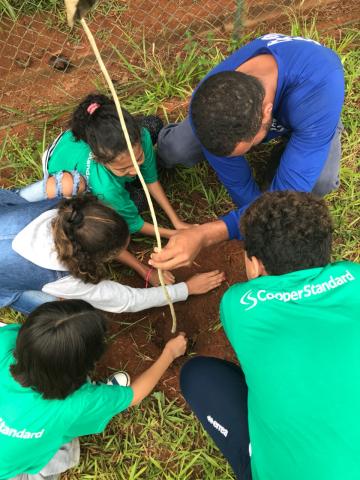 Environmental Awareness in Varginha School